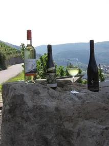 Weingut Day - Image 2