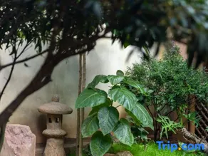 Xiyuan Homestay (Weishan Ancient City) - Image 4