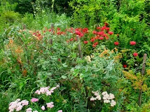 Inn Nature Bed & Breakfast - Image 3