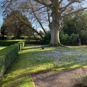 The Old Vicarage - Image 4