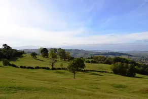 Farncombe Estate - Image 1