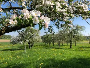 Boutique-Pension seeherberge - Image 3