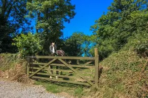Tizzy Barn - Image 4