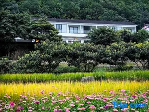 Xingyi QingqingYuye Homestay - Image 2