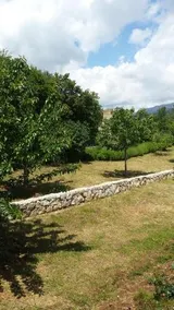 Villa Cetina - Image 5