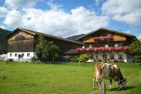 Tischlerhof - Image 5