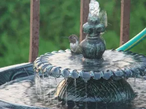 Hummers Haven Bed and Breakfast - Image 4