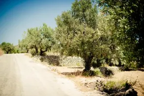 Caserio del Mirador - Image 3