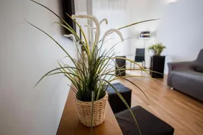 B&B Matera Residence - Image 2