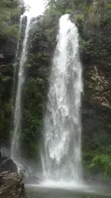 Springbrook Storybook - Image 4