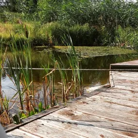 Zlota Wójtówka - Image 4