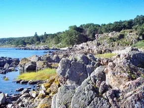 Spacious Holiday Home in Allinge Bornholm near Sea - Image 4