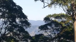 Misty Valley Homestayz - Image 4