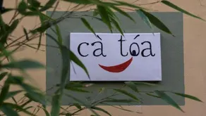 Cà toa - Image 2