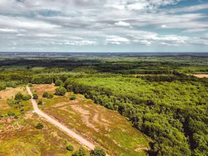 Bospark de Schaapskooi - Image 3