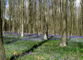 Chilgrove Farm B&B - Image 3