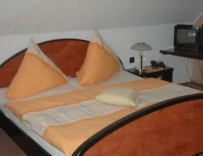 Landhotel Sendes - Image 2