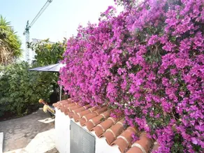 Casa Amen Corner - Image 3