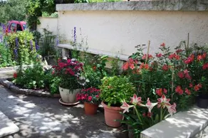 Casa Tomadero - Image 2
