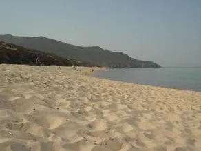 Naracauli - Image 2
