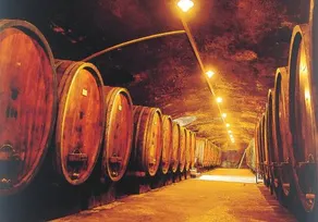 Weinstube Schwarzamsel - Image 5