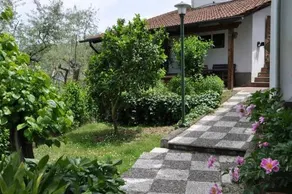 B&B Casa Gaia Sorrento Bio Vacanze - Image 2
