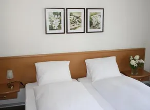 Hotel des Alpes Dudingen - Image 4