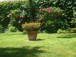 Le Jardin de Beauvoir - Image 5