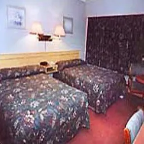 Bosman's - Image 3