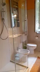 54 Cat - Image 4