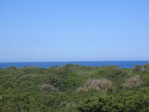 I Villini Di Baia Delle Mimose - Image 3
