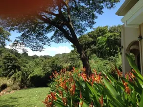 Casa Vistas Del Pacifico BnB - Image 2