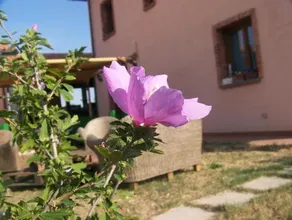 Agriturismo La Nocciolina - Image 5