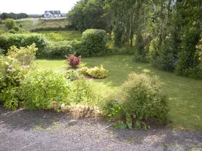 Beautiful 3-bed House in Knock - Image 5