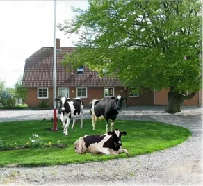 Hveddegaard Farm Holiday - Image 5