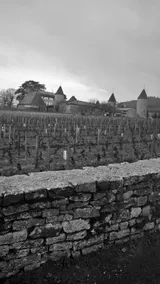 Domaine La Fontaine Du Mont - Image 4