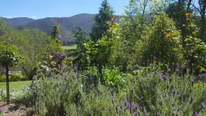 Abbys Cottages Bright - Image 5