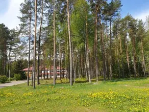Ozdorovitelnyy Kompleks Chayka - Image 5