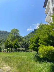 Yeşil ve huzur dolu bir daire - Image 2