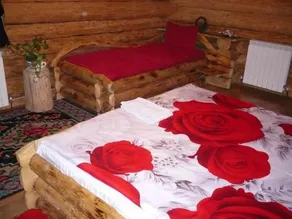 Cabana Vultur - Image 2