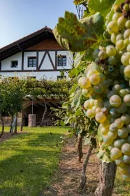 Casa Rural Mahasti - Image 5