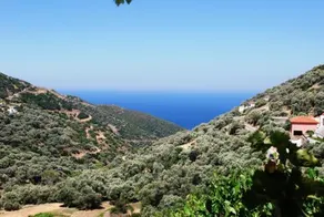 Klio - Image 4