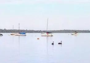 Estuary Road - Image 3