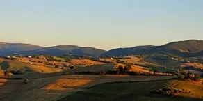 Quindici Alberi - Image 3