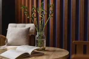 MV apartment - Image 4