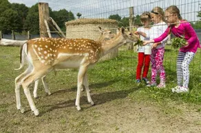 Kompleks Rekreacyjny Sielsko Na Wygodzie - Image 5