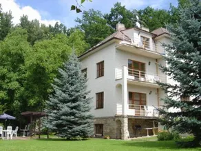 Hotel Villa Conti - Image 2