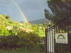 B&B Arcobaleno - Image 4