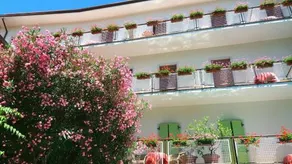 Zanella - Image 3