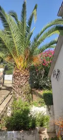 Chalet Sol y Sombra - Image 3